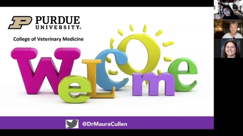 Thumbnail for What if I say the Wrong Thing