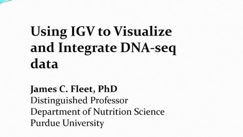 Thumbnail for entry Using IGV to visualize DNA-seq data