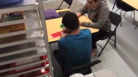 Thumbnail for Formal Observation 1 Practicum 2