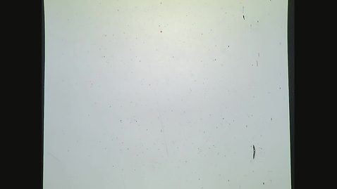 Thumbnail for Fall 2022 - MA162 - Chen (8:30)