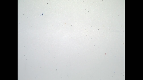 Thumbnail for Fall 2019 - MA162 - Chen