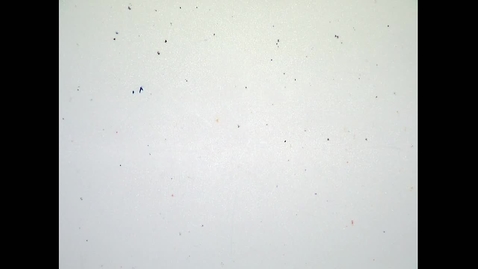 Thumbnail for Fall 2019 - MA162 - Chen