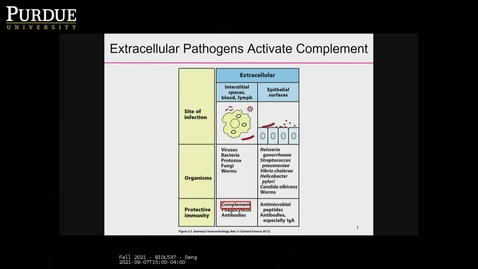 Thumbnail for Fall 2021 - BIOL537 - Deng