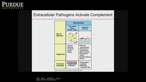 Thumbnail for entry Fall 2021 - BIOL537 - Deng