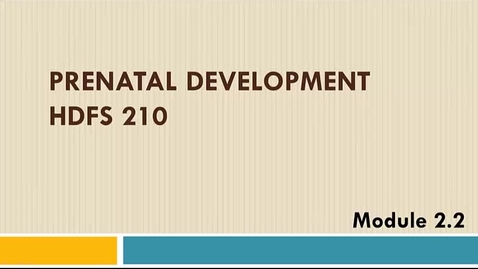 Thumbnail for Module 2.2 Prenatal Development
