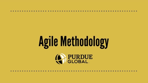 Thumbnail for IN256 - Agile Methodology