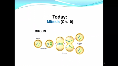 Thumbnail for entry BIOL111_Humphrey_Wk04_Lecture7_02-04-20_Chunk2