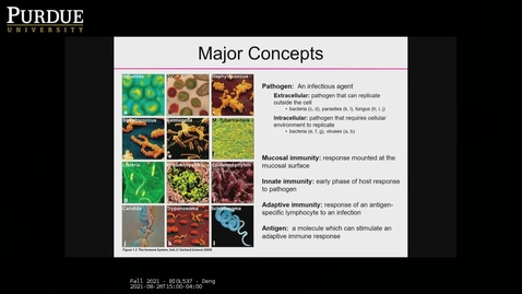 Thumbnail for Fall 2021 - BIOL537 - Deng