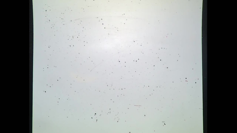 Thumbnail for Fall 2021 - MA261 - Chen