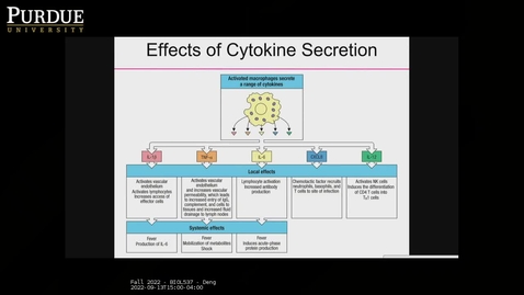 Thumbnail for entry Fall 2022 - BIOL537 - Deng