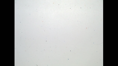 Thumbnail for Fall 2019 - MA162 - Chen