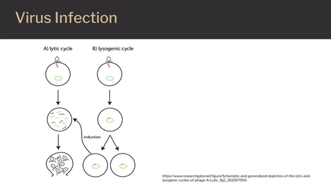 Thumbnail for Viruses