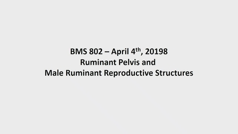 Thumbnail for entry Spring 2019 - BMS802 - Ekenstedt