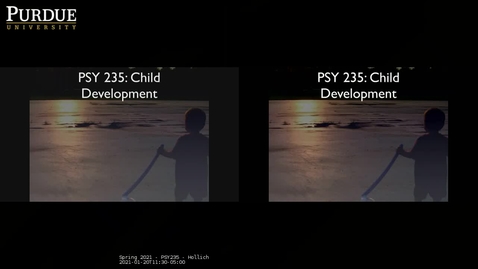 Thumbnail for Spring 2021 - PSY235 - Hollich