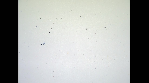 Thumbnail for Fall 2019 - MA162 - Chen