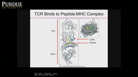 Thumbnail for Fall 2021 - BIOL537 - Deng