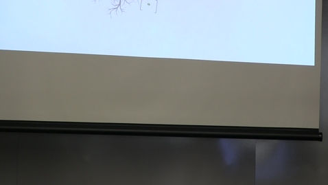 Thumbnail for Veyna - 2