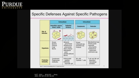Thumbnail for Fall 2021 - BIOL537 - Deng