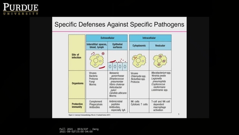 Thumbnail for entry Fall 2021 - BIOL537 - Deng
