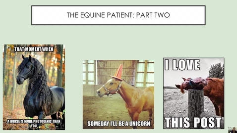 Thumbnail for 9-equine part two- lecturer- completed (1)