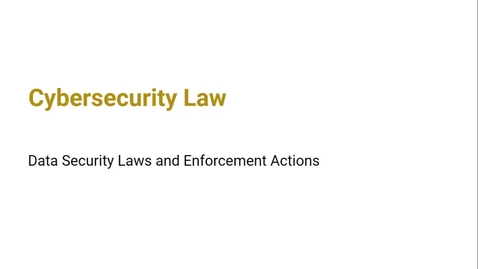 Thumbnail for Data Security Laws and Enforcement Actions