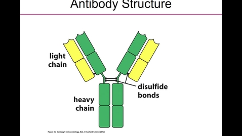 Thumbnail for entry BIOL537 - Deng-Lecture 14