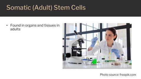 Thumbnail for Stem Cell Research