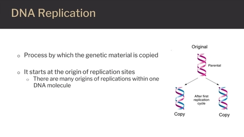 Thumbnail for entry DNA Replication