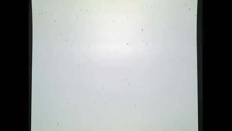 Thumbnail for Spring 2022 - MA161 - Chen