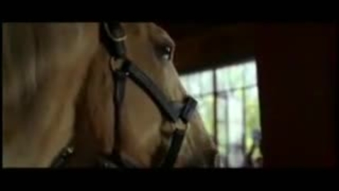 Thumbnail for Seabiscuit